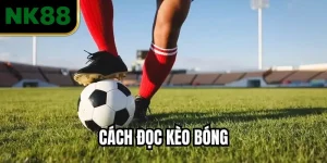 Hướng Dẫn Chi Tiết Cách Đọc Kèo Bóng Chuẩn Từng Loại Kèo