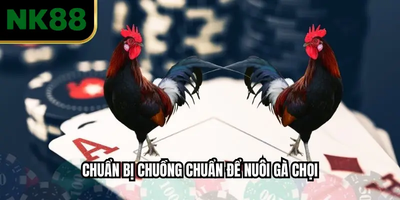 Chuẩn bị chuồng chuẩn để nuôi gà chọi